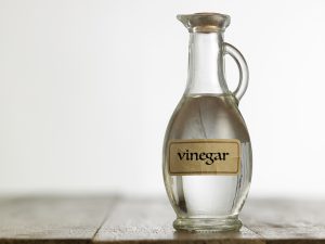 vinegar natural way to get rid of carpenter ants