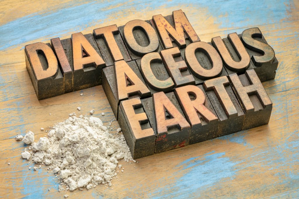 what is diatomaceous earth.